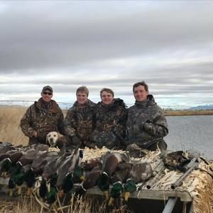 Meet your Posher, Bo